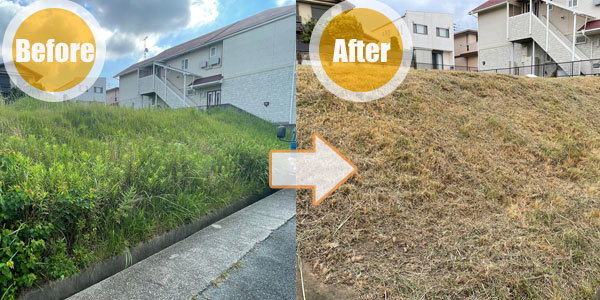 施工事例 6（Before / After）