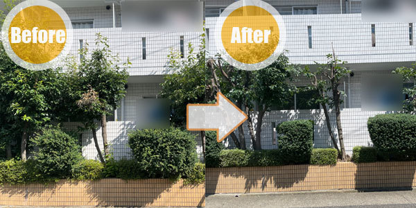 施工事例 7（Before / After）